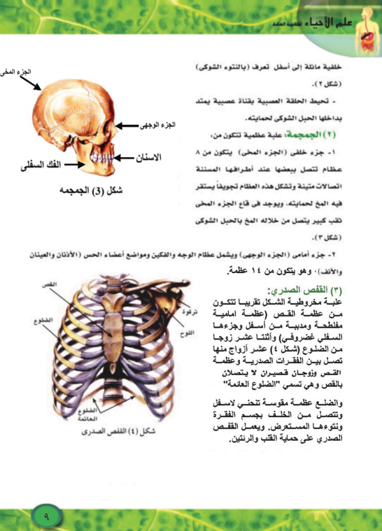 شرح الدرس الاول احياء2_2911_224136